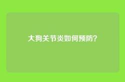 大狗关节炎如何预防？
