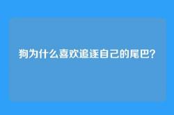 狗为什么喜欢追逐自己的尾巴？