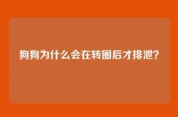 狗狗为什么会在转圈后才排泄？