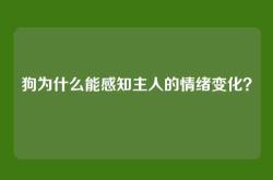 狗为什么能感知主人的情绪变化？