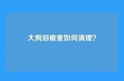 大狗泪痕重如何清理？