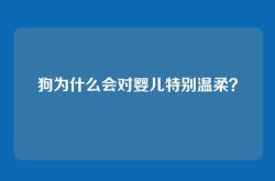 狗为什么会对婴儿特别温柔？
