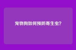 宠物狗如何预防寄生虫？