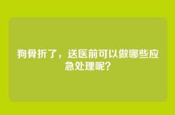 狗骨折了，送医前可以做哪些应急处理呢？
