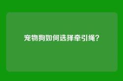 宠物狗如何选择牵引绳？