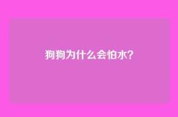 狗狗为什么会怕水？