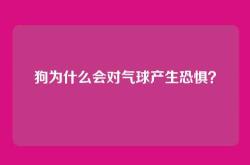 狗为什么会对气球产生恐惧？