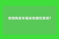 宠物狗老年痴呆有哪些表现？