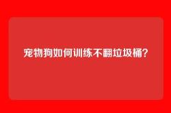 宠物狗如何训练不翻垃圾桶？