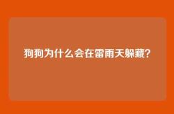 狗狗为什么会在雷雨天躲藏？