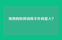 宠物狗如何训练不扑向客人？