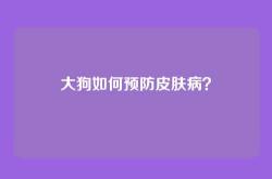 大狗如何预防皮肤病？