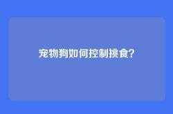 宠物狗如何控制挑食？