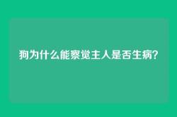 狗为什么能察觉主人是否生病？