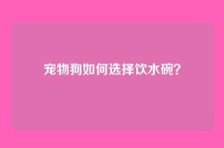 宠物狗如何选择饮水碗？
