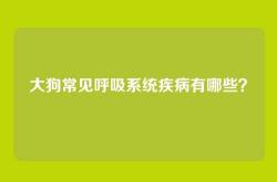 大狗常见呼吸系统疾病有哪些？