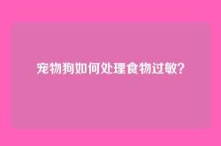 宠物狗如何处理食物过敏？