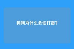 狗狗为什么会怕打雷？