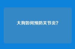 大狗如何预防关节炎？