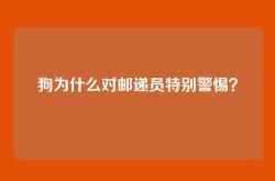 狗为什么对邮递员特别警惕？