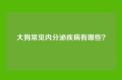 大狗常见内分泌疾病有哪些？