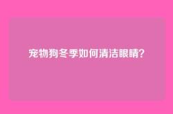 宠物狗冬季如何清洁眼睛？