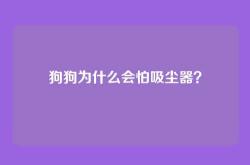 狗狗为什么会怕吸尘器？