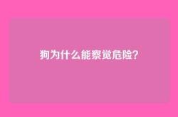 狗为什么能察觉危险？