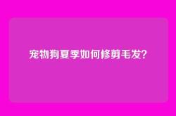 宠物狗夏季如何修剪毛发？