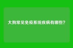 大狗常见免疫系统疾病有哪些？