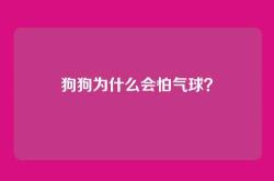 狗狗为什么会怕气球？