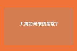 大狗如何预防癌症？