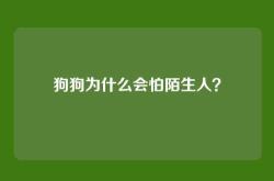 狗狗为什么会怕陌生人？