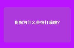 狗狗为什么会怕打喷嚏？