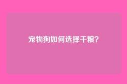 宠物狗如何选择干粮？