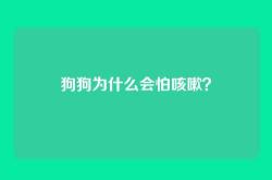 狗狗为什么会怕咳嗽？