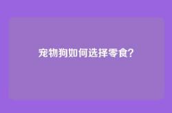 宠物狗如何选择零食？