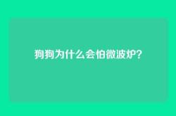 狗狗为什么会怕微波炉？