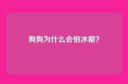 狗狗为什么会怕冰箱？