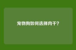 宠物狗如何选择肉干？