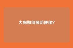 大狗如何预防便秘？