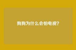 狗狗为什么会怕电视？