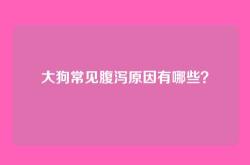 大狗常见腹泻原因有哪些？
