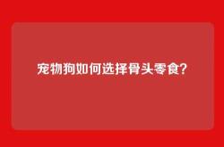 宠物狗如何选择骨头零食？