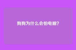 狗狗为什么会怕电脑？
