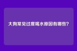 大狗常见过度喝水原因有哪些？