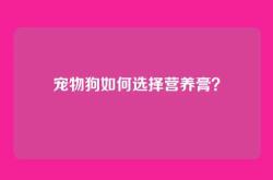 宠物狗如何选择营养膏？