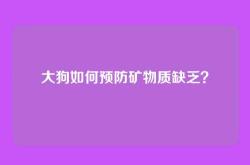 大狗如何预防矿物质缺乏？