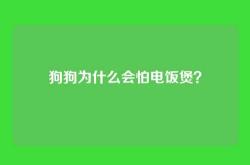 狗狗为什么会怕电饭煲？