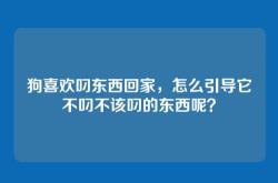 狗喜欢叼东西回家，怎么引导它不叼不该叼的东西呢？
